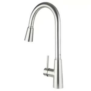 Kitchen Shower Faucet W Pull-out Spout, Stainless Steel Color Kitchen Taps