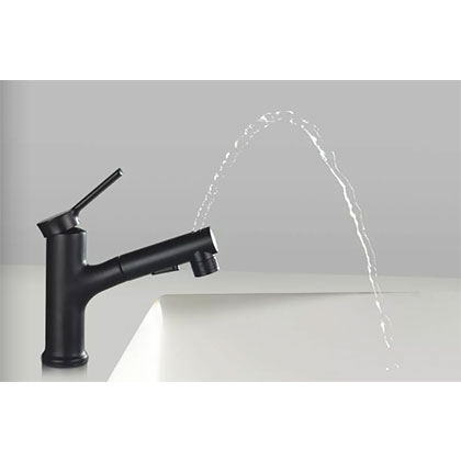 Pull Out Black Bathroom Basin Faucet